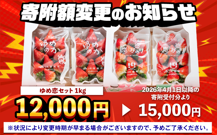 いちご イチゴ 苺 ゆめのか・恋みのり 計 1kg「ゆめ恋セット」《壱岐市》【蒼花】 [JEO001] 15000 15000円 【4/1～寄附額】