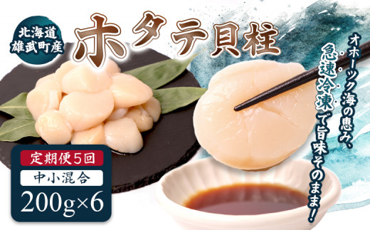 【定期便5回】　北海道雄武町産ほたて貝柱 中小混合 200g×6 (冷凍) 使い切りパック | ふるさと納税 北海道 雄武 ホタテ 帆立 ほたて 小粒 中粒 大粒 200g×6 6kg 冷凍 オホーツク オホーツク産 刺身 魚貝 魚介 海鮮 海産 海産物 魚介類 お取り寄せ ワンストップ マイページ 雄武漁業協同組合【07144】