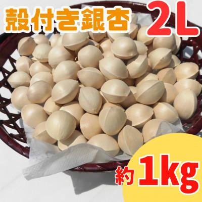 ふるさと納税 山辺町 【先行受付】殻付き銀杏 (ぎんなん)【2L】 約1kg(200g×5パック)