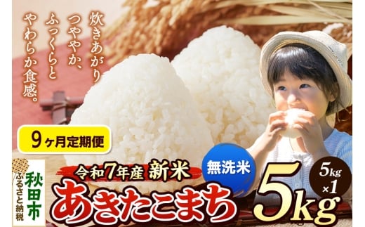 《令和7年産 新米先行受付》《定期便9ヶ月》 米 あきたこまち 5kg 【無洗米】 秋田県産