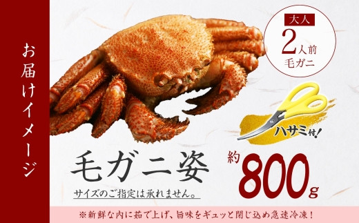 お届けイメージです。