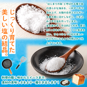 n329 種子島の自然の恵み!天日塩(計100g・50g×2個) 国産 種子島 天日干し 塩 ソルト 調味料 ミネラル 常温 【株式会社MAOMO FOODS】