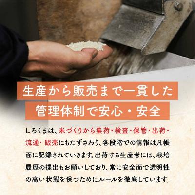 ふるさと納税 三条市 新潟県産 新之助 10kg しんのすけ 令和7年産 [株式会社白熊]【018S042】 |  | 01