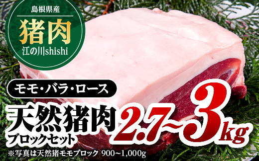 江の川shishi ブロックセット 2.7kg〜3kg 猪肉 いのしし肉 イノシシ肉 ジビエ ロース モモ バラ 煮込み用 角煮 焼肉用