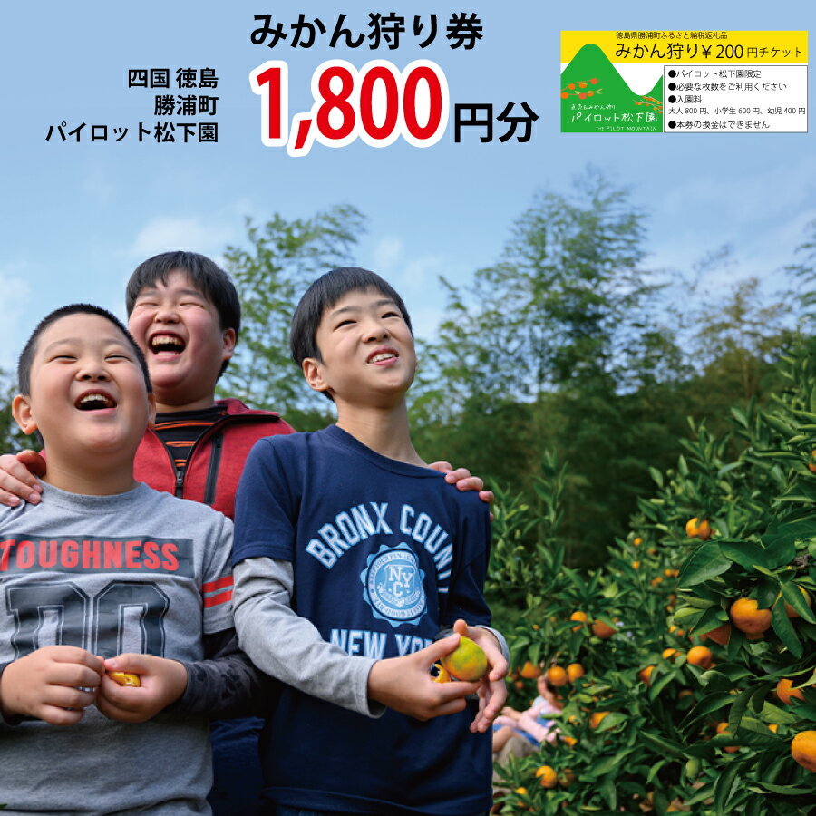 【ふるさと納税】パイロット松下園 みかん狩り券 1800円分