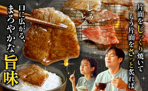 宮崎牛焼肉10種盛り合わせ_M132-067