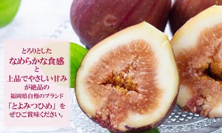 福岡限定ブランドいちじく とよみつひめ(300g×4)パック 約1.2kg