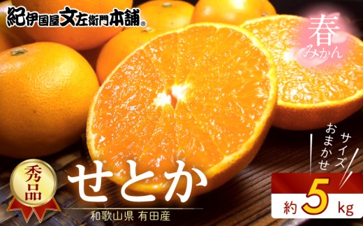 
                  せとか 秀品 約5kg 和歌山県有田産 春みかん 春柑橘 (果実サイズおまかせ) / 紀伊国屋文左衛門本舗_V7410
                