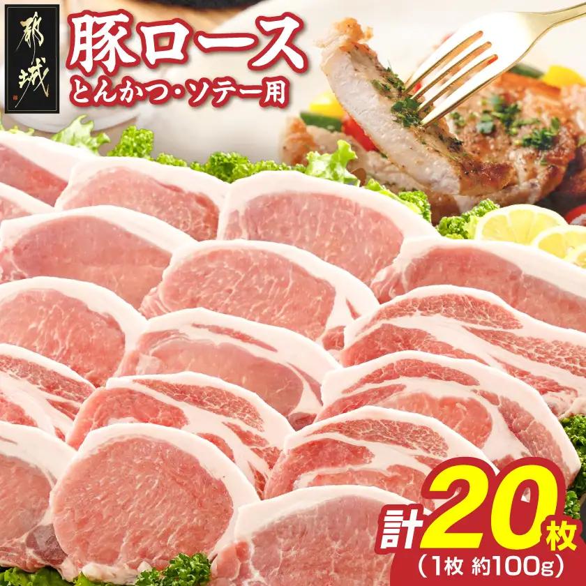 豚ロースとんかつ・ソテー用20枚 - 〔AA-2506〕_ (都城市) 豚肉 100g×5枚×4パック 真空パック 冷凍保存