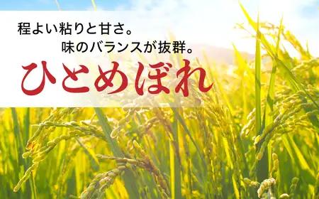 令和7年産　無洗米宮城県産ひとめぼれ 10kg 無洗