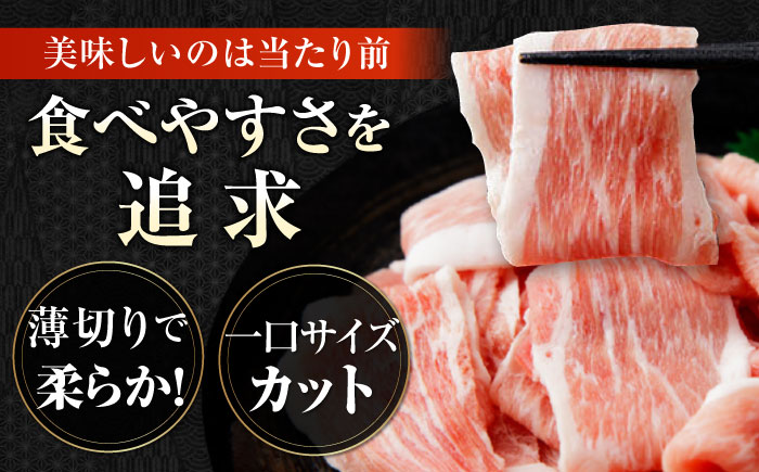 国産 豚肉 切り落とし 約300g×15 総計約4.5kg 豚 切落し 赤身 もも肉 小分け 【(有)山重食肉】 [ATAP045]