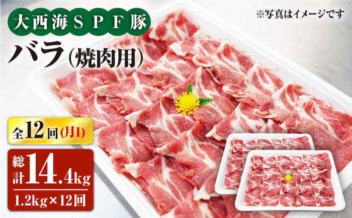 
                  【月1回約1.2kg×12回定期便】大西海SPF豚 バラ（焼肉用）計14.4kg 訳あり ＜大西海ファーム [CEK121]
                