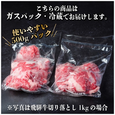 飛騨牛 切り落とし 約800g(約400g×2パック)【冷蔵便】A4～A5等級 黒毛和牛 小分け【配送不可地域：離島】