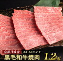 【緊急支援】丹波亀岡 京の肉 ひら山厳選 京都府産黒毛和牛 焼肉 用 1kg＋200g増量 【計1.2kg】 ☆月間MVPふるさと納税賞 第1号（2020年10月）・SDGs未来都市亀岡