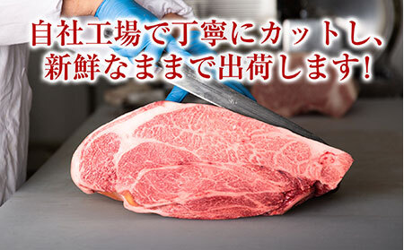 E24-018 鳥取和牛オレイン55ロースステーキ