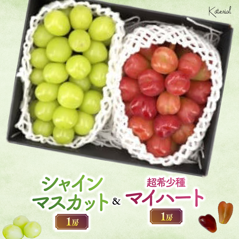 【2026年発送】シャインマスカット（1房）&マイハート（1房）約1.2キロ［ぶどう　葡萄　シャイン　シャインマスカット　マイハート　くだもの　果物　フルーツ　人気　2種　詰め合わせ　ギフト　贈答　新鮮　山梨県　山梨　甲斐市］