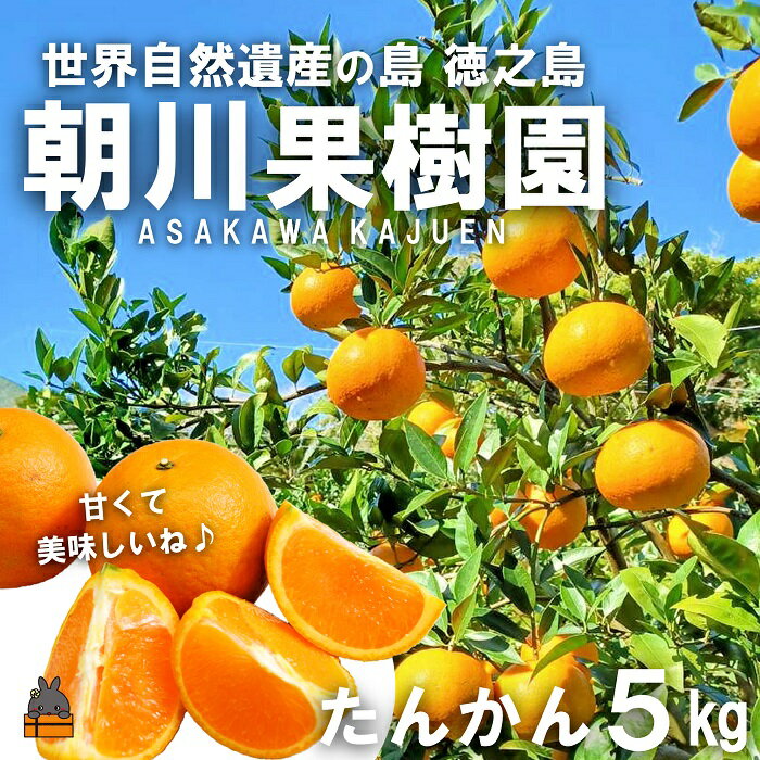 【ふるさと納税】《今が旬！》～世界自然遺産の島から～朝川果樹園さんのたんかん（5kg）　( タンカン フルーツ みかん 果物 柑橘 甘い 徳之島 奄美 鹿児島 もぎたて フレッシュ 世界自然遺産 フルーツアイランド 先行予約 )