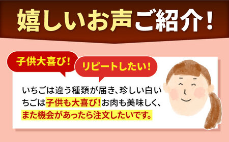 【先行予約】【12回定期便】産地直送！白石町産 いちごと牛肉の極上定期便 [IZZ015]