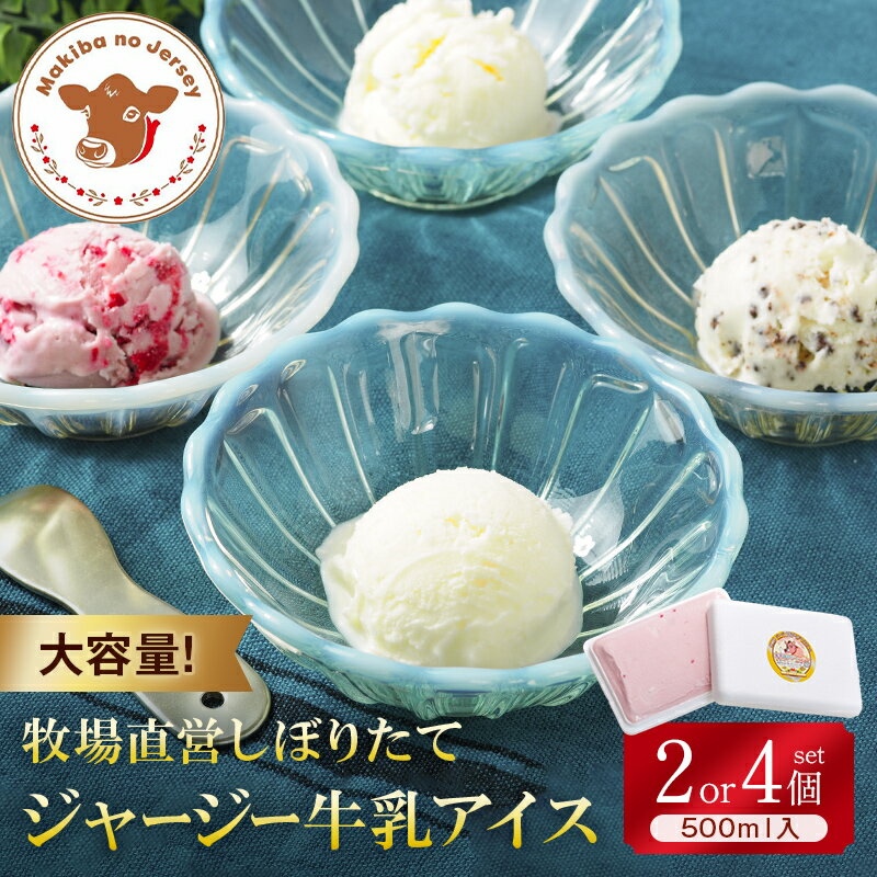 【ふるさと納税】【選べるセット】まきばのジャージーアイス 大容量セット（500ml） F21C-038var