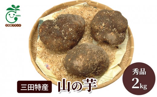 【ふるさと納税】 三田特産 山の芋 ( 秀品2kg ) 山芋 芋 特産 秀品 ギフト お祝い 贈答品 中元 歳暮 数量限定 期間限定 人気 ふるさと納税 ふるさと 人気 おすすめ 送料無料 兵庫県 三田市 [№5337-0271]