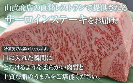 飛騨高山の誇り 飛騨牛 サーロインステーキ用 1.0kgブロック｜飛騨牛 飛騨高山 PS006 　