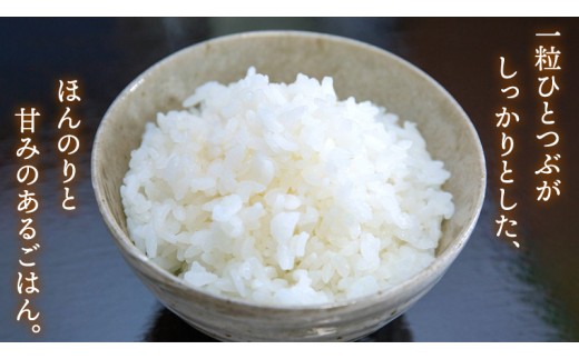 ＜ 7月出荷 ＞ 令和8年産 マイスター 厳選 ブレンド米 5kg（精米）三百年続く農家の特別栽培米 コシヒカリ × 満月もち｜ 特別 栽培 もち米 モチ 茨城産 茨城県産 国産 国産米 新生活 プレ