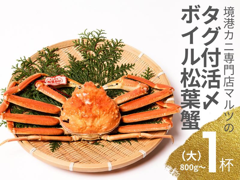 
            【タグ付き】活〆ボイル松葉がに（大）1枚 カニ専門店マルツ 先行受付 M8 1033
          