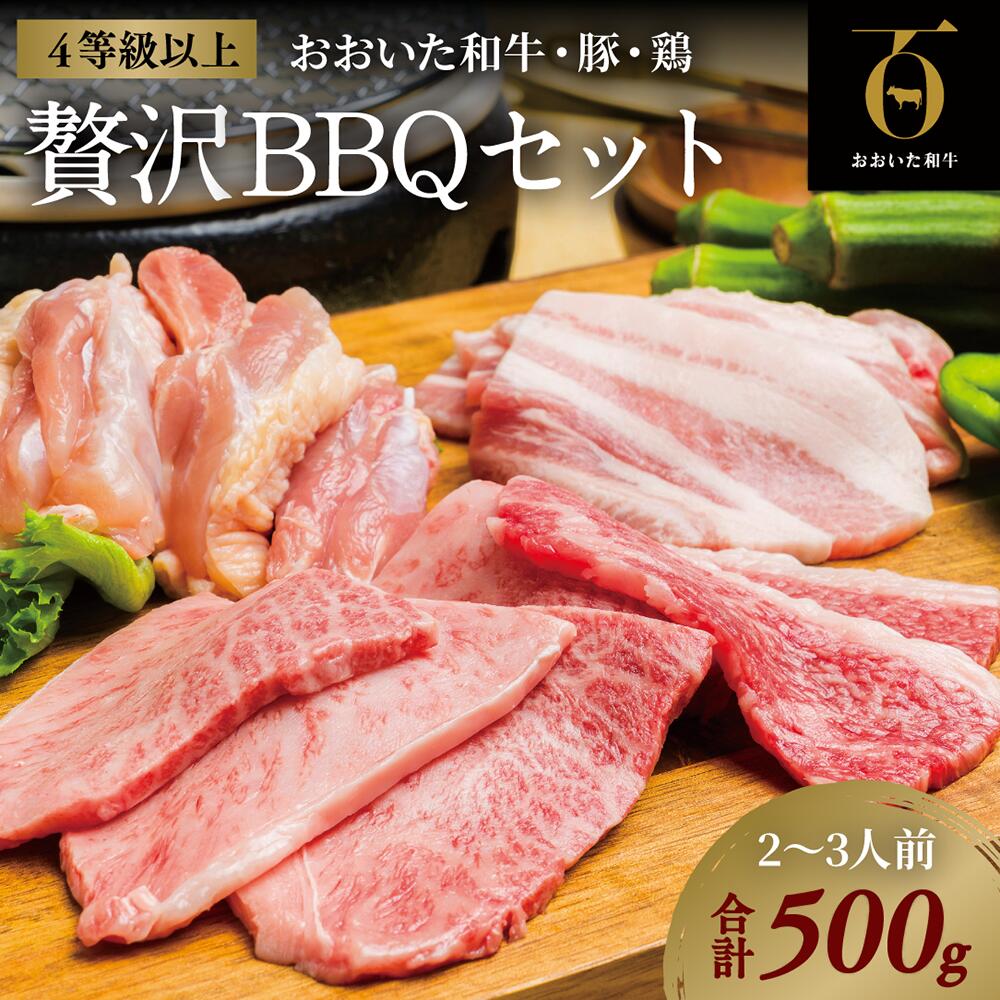 【ふるさと納税】黒毛和牛 A5 A4 贅沢BBQセット (計500g) おおいた和牛 豚バラ 鶏もも 焼肉 BBQ キャンプ 焼肉 セット 牛 豚 鶏 和牛 送料無料