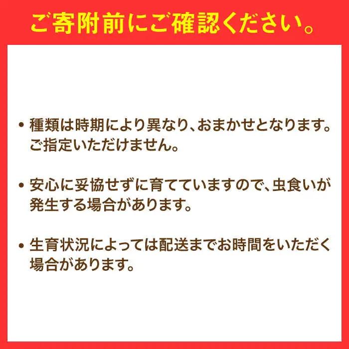 【特別栽培】 農家セレクト日田の厳選食材 詰め合わせ 日田市 野菜 果物 米 産地直送 新鮮 セット [ARBR001]