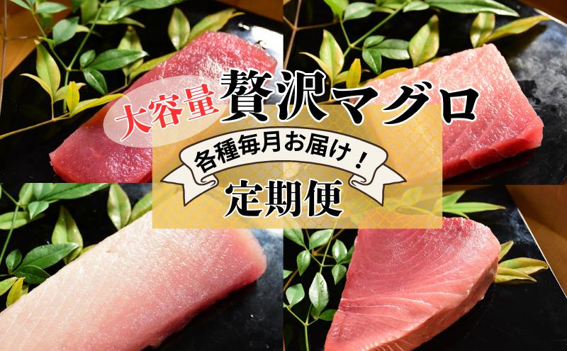 【計4回お届け】贅沢マグロ定期便【冷凍】メバチマグロ上赤身6柵・中とろ4柵・ビンチョウマグロ脂柵6柵・天然ミナミマグロ上赤身脂450g×2
