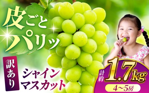 【訳あり】 シャインマスカット 約1.7kg(4～5房)【合同会社 社方園】 [ZBZ031]