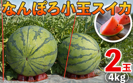 北海道産 小玉スイカ 2玉 なんぽろ小玉すいか 8月発送 シャリシャリ食感 南幌町産