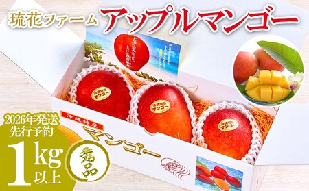 マンゴー【2026年発送先行予約】アップルマンゴー秀品1kg以上
