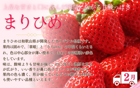 【2・7・9月 全3回】紀州和歌山産旬のフルーツセット（いちご・桃・巨峰）【UT96】