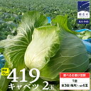 【ふるさと納税】【 2025年 7月中旬 発送開始 】 《 選べる配送回数 》通常便 か 3か月 定期便 まぼろしの419キャベツ 2玉 3カ月 きゃべつ 嬬恋村産キャベツ 羽生田売店 幻のキャベツ419 産地直送 期間限定 先行予約 人気 朝採り 通販 お取り寄せ 関東