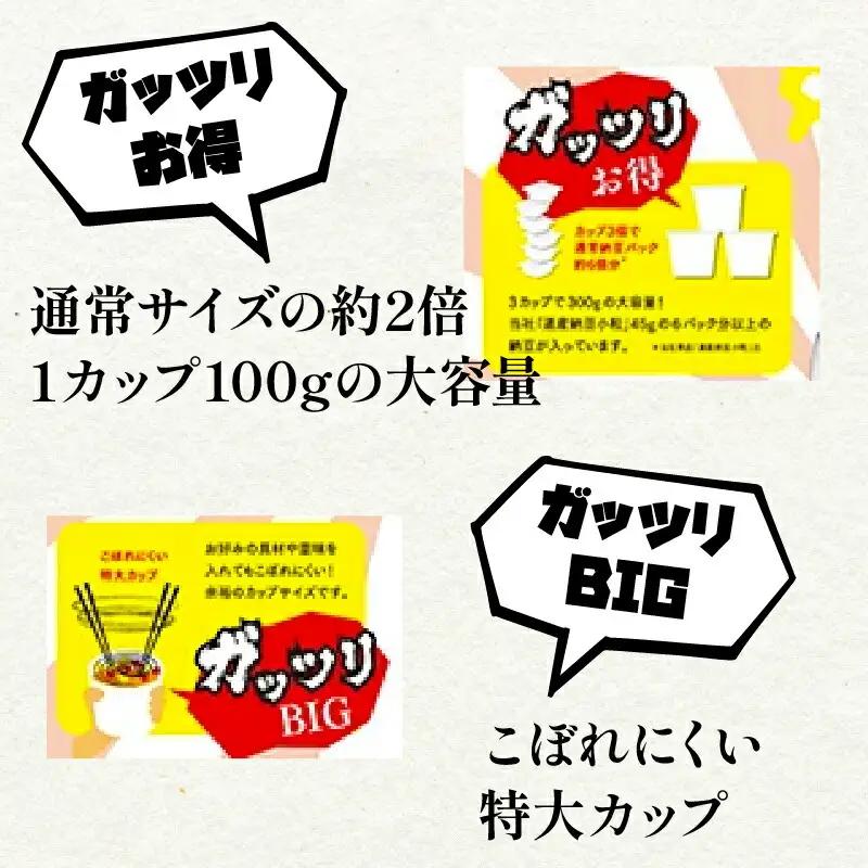 北海道のガッツリ納豆極小粒 100g×3個×10袋(合計30カップ) たれなし 特大カップ 大容量 北海道産 国産 くま納豆【10ヶ月連続お届け】