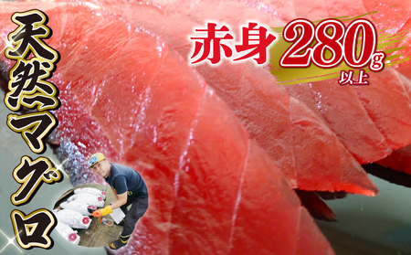 天然 マグロ 赤身 約 280g 以上 鮪 刺身 漬け 丼 魚 静岡県 藤枝市