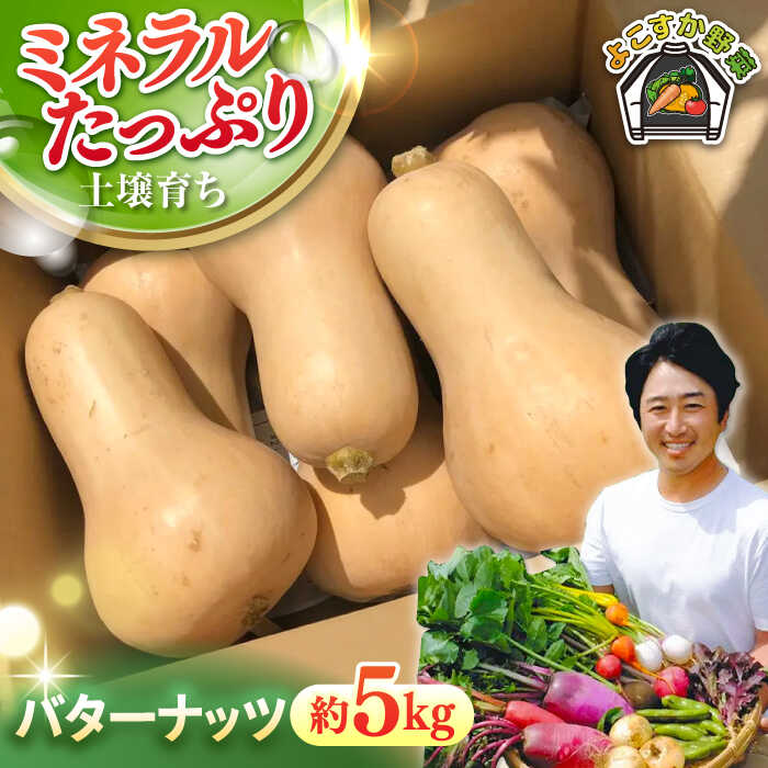 【ふるさと納税】【先行予約】バターナッツ　約5kg【鈴也ファーム】[AKCE022]