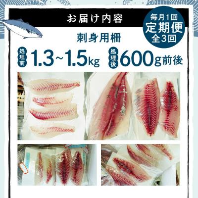 ふるさと納税 天草市 【全3回　連続】お刺身用柵定期便_S121-T03 |  | 02