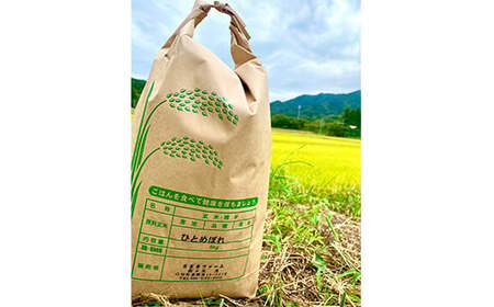 ≪3ヶ月連続でお届け！≫三陸山田産 ひとめぼれ 令和7年産 10kg 定期便 ささきファーム 三陸山田 山田町 お米 白米 精米 農産品 農家 YD-946