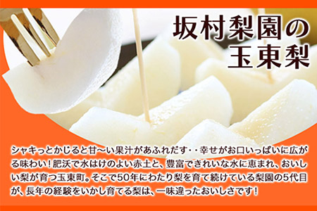 坂村梨園 玉東梨 熊本県玉名郡玉東町 約5kg(5～18玉前後) 梨 なし 果物 旬の梨 《8月中旬-11月上旬頃出荷》｜ブランド梨 人気梨 特産品梨 熊本県梨 玉東町梨 大人気返礼品