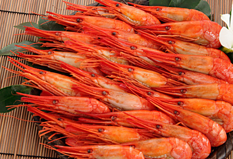【北海道根室産】北海シマエビ400g(25～37尾)×2P(計800g) B-81003