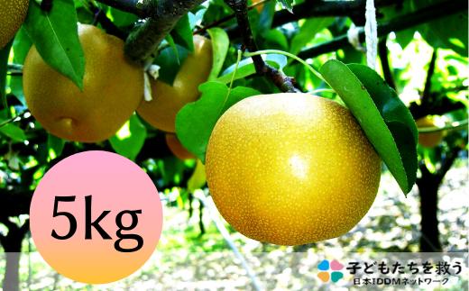 
堀田さんの伊万里梨（5kg）
