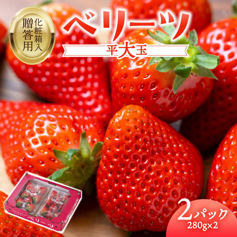 【ふるさと納税】【先行予約※2026年2月下旬より発送開始】大分県 ブランド いちご ベリーツ 平大玉 約280g×2パック 苺 イチゴ 大分県産 ストロベリー 果物 フルーツ スイーツ おやつ 新品種 贈り物 贈答 ギフト 化粧箱入り オリジナル品種 2パック お取り寄せ C07007