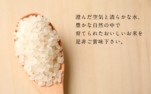 大分県産ヒノヒカリ 10kg 5kg×2