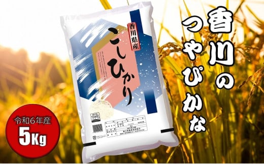 【令和6年産】　香川のお米　コシヒカリ　5kg お米