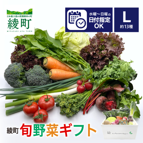 綾町旬野菜ギフト（Lサイズ）【全３回定期便】