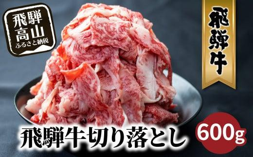 【11月発送】飛騨牛 訳あり 切り落とし600g (日付指定不可) | 牛肉 肉 訳あり 切落し すき焼き 高山市 不揃い 黒毛和牛 冷凍 人気 国産 薄切り 部位 お取り寄せ グルメ 高評価 レビュー  株式会社丸明 LR004VC11
