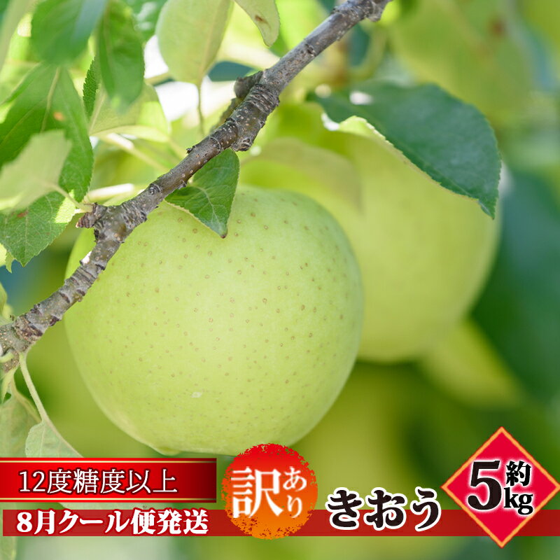 【ふるさと納税】【8月クール便発送】（糖度12度以上）訳あり品 家庭用 きおう約5kg【 青森りんご】　お届け：2026年8月下旬