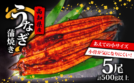 うなぎ 国産 高知県産 鰻 蒲焼き 100g?120g×5尾 セット 蒲焼きのタレ 付き 冷凍 高知県 須崎市 ( うなぎ 蒲焼き スタミナ 土用の丑の日 小分け )